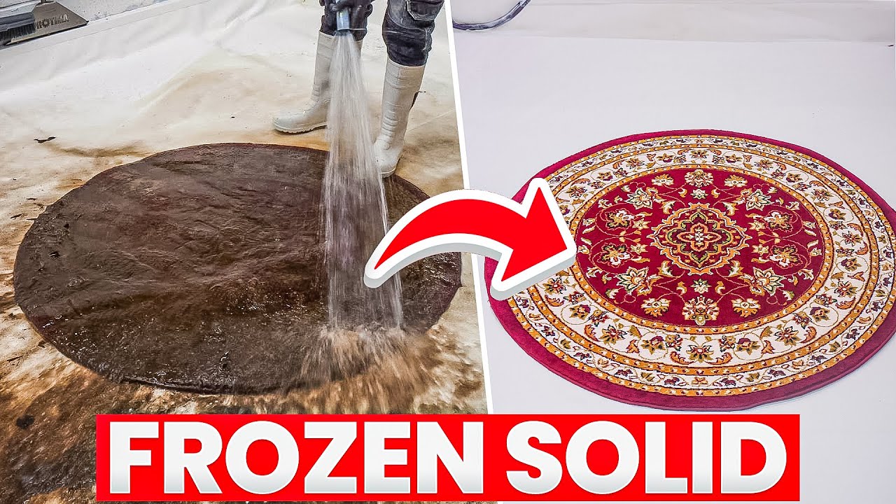 I cleaned a frozen rug and it was wild!