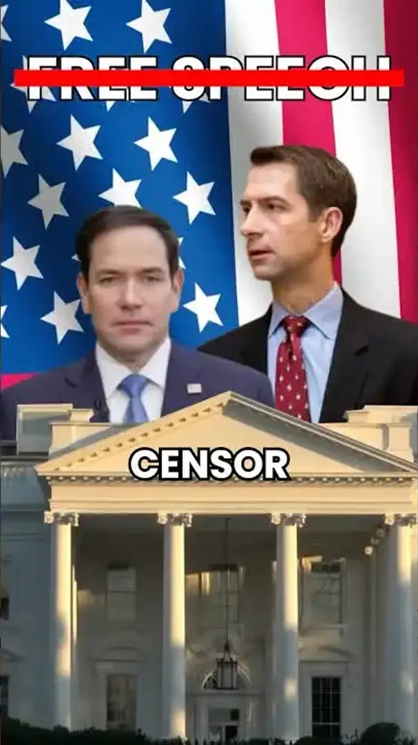 US politicians don’t want you to know this about TikTok