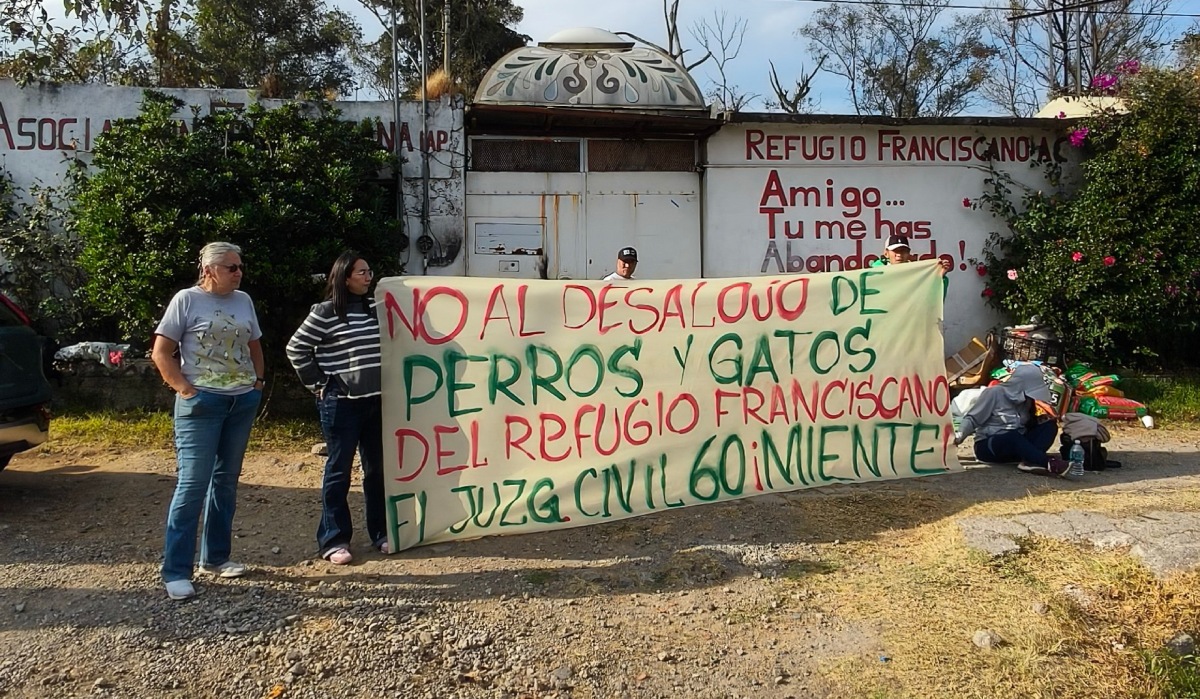 ¿Hubo maltrato animal? Esto sabemos del desalojo en el Refugio ...