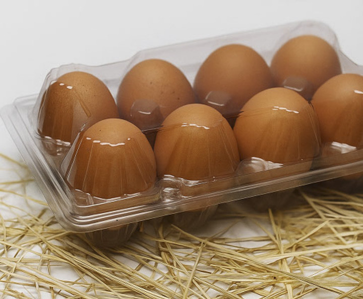 Mahasiswa UNY Kembangkan Telur Omega-3 dengan Peternakan Cerdas