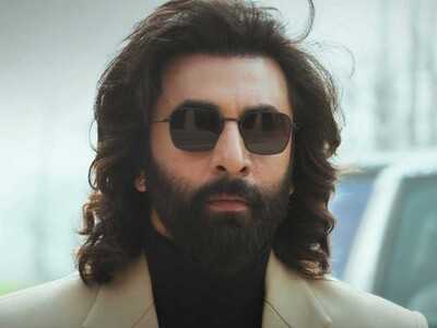 'It really blew up': Ranbir Kapoor's Animal helped an indie film with