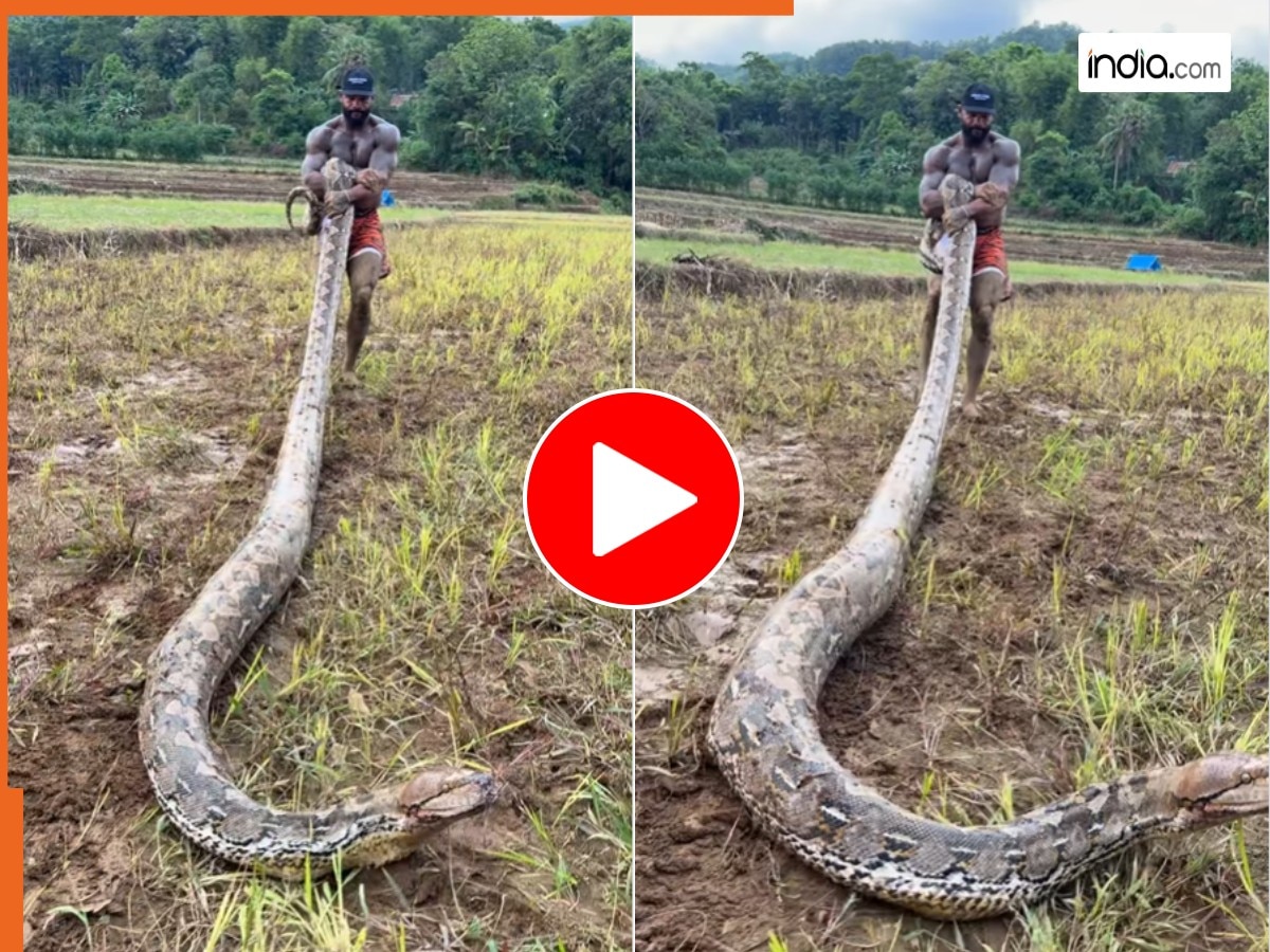 Azgar ka video: 21 फीट के अजगर को खींचकर खेलने लगा शख्स, तभी जो दिखा ...
