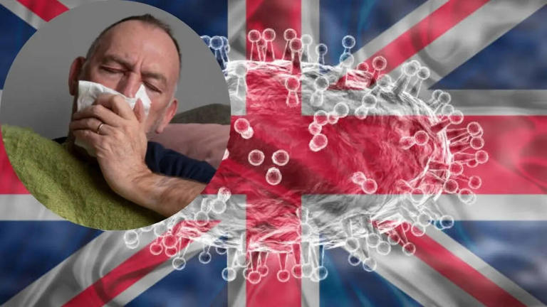 What is the new K subclade flu variant that is rapidly spreading as flu ...