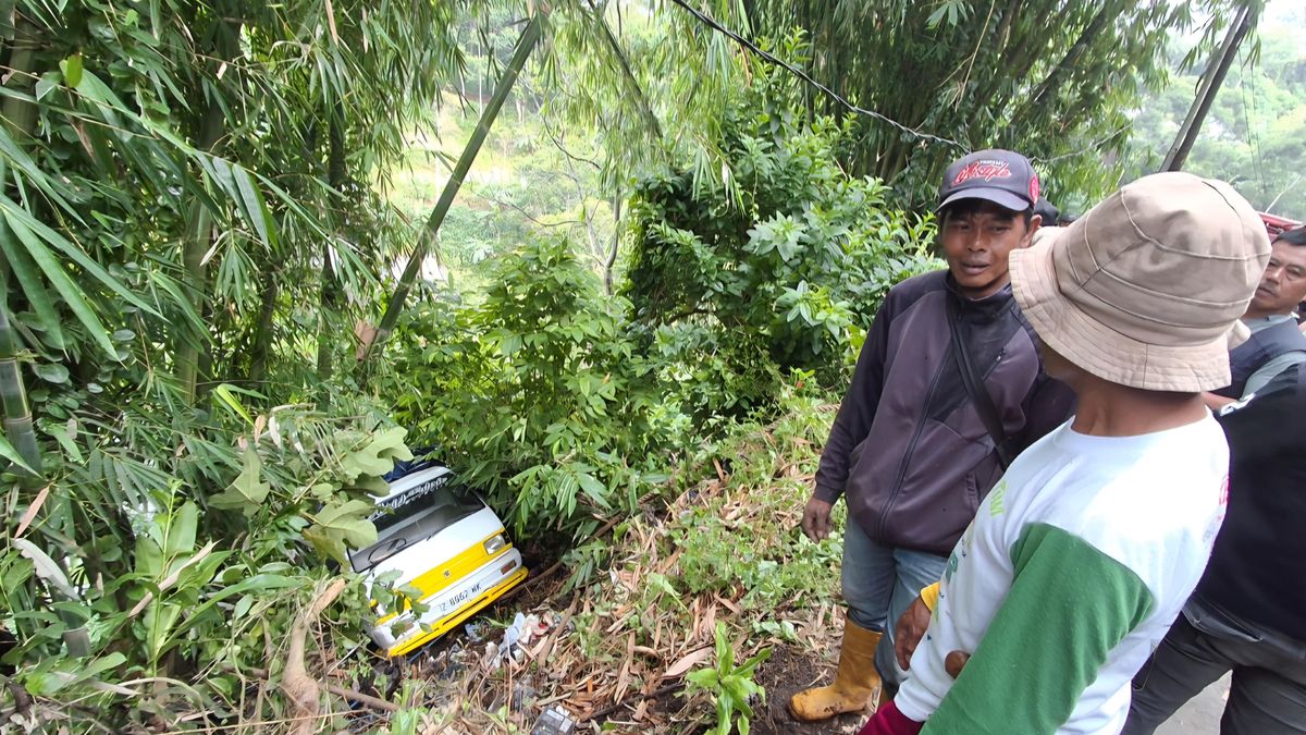 Mobil Sayur Terjun ke Jurang 10 Meter, Sopir Selamat Meski Tergilas