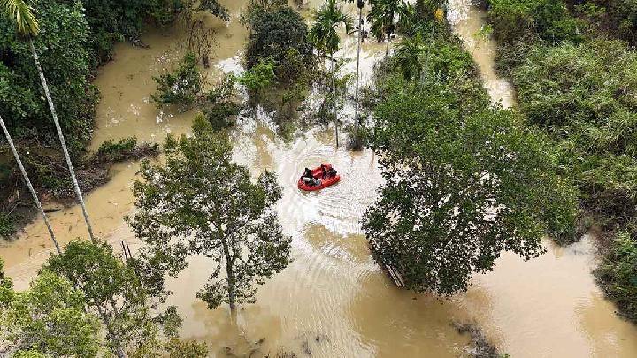 Prabowo: Pembalakan Liar Dibasmi