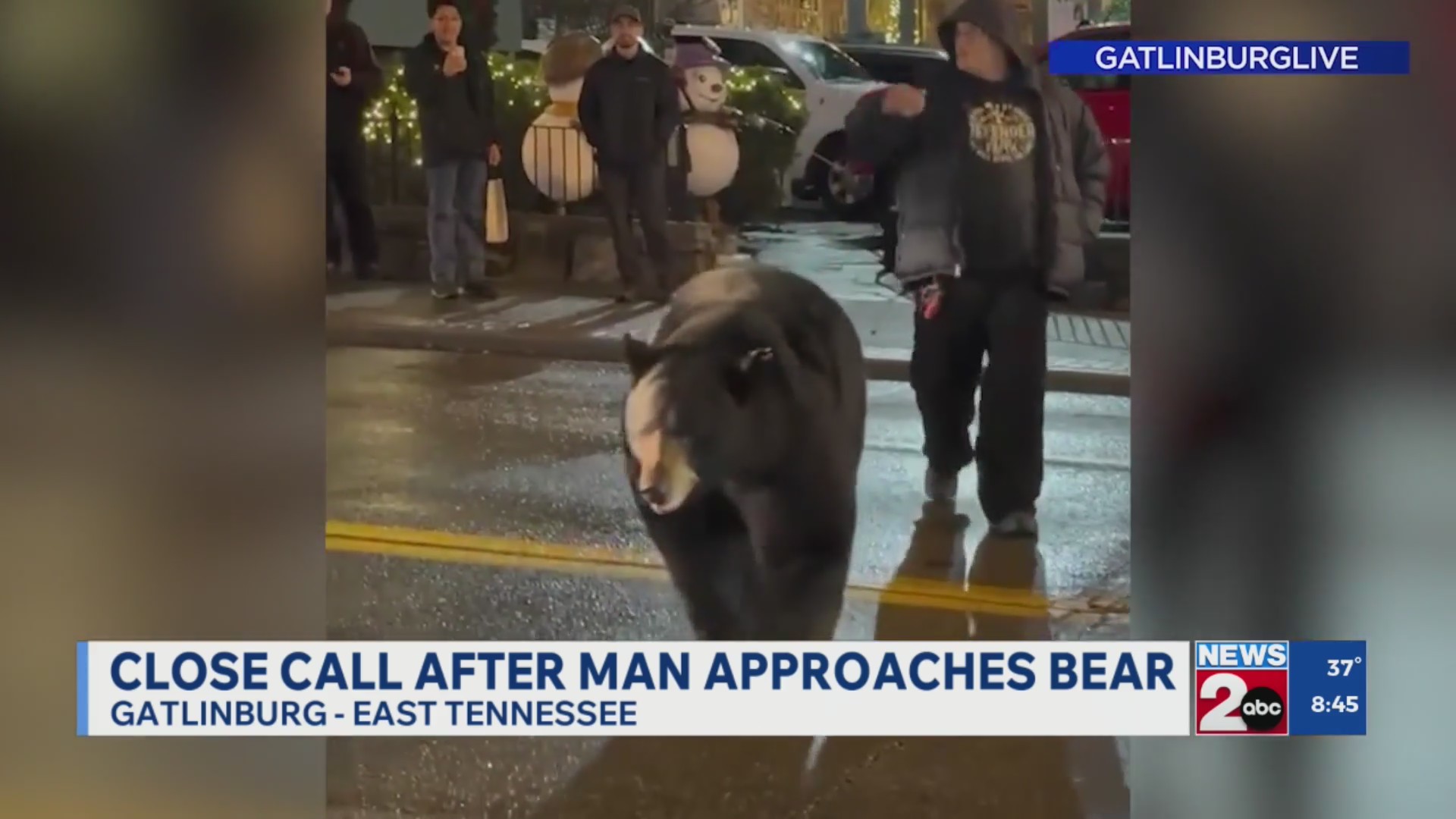 Watch: Close call after man approaches bear in Gatlinburg
