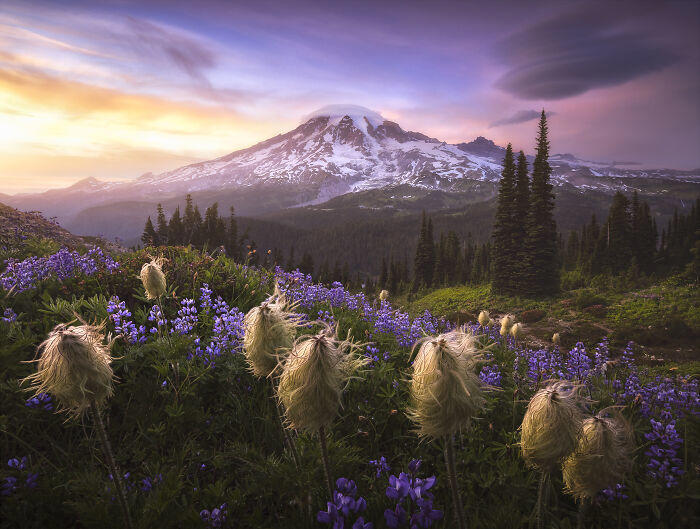 30 winners of the 2020 International Landscape Photographer of the Year