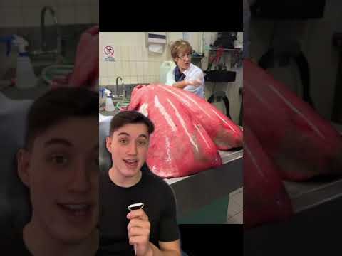 Objects and structures far larger than you might imagine