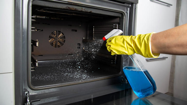 how-to-clean-your-oven-with-dish-soap-and-eliminate-stubborn-grease