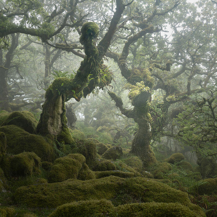 30 winners of the 2020 International Landscape Photographer of the Year