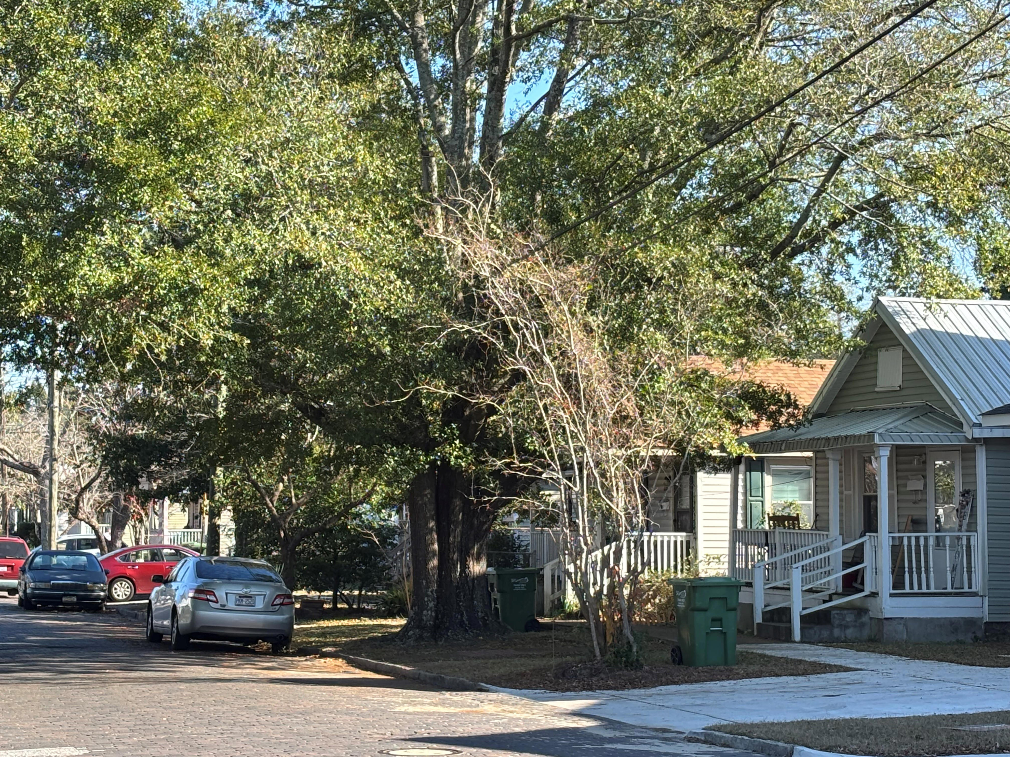 Wilmington man suspected of fatally shooting wife arrested