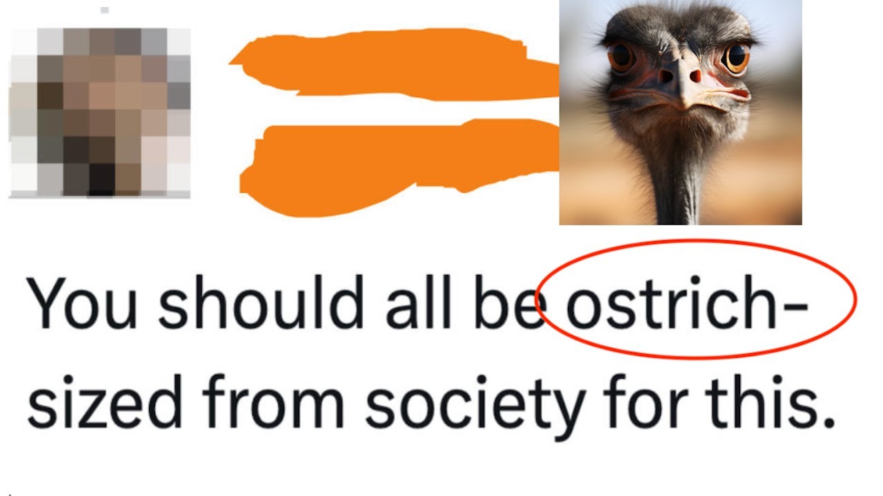 Dumbest internet posts show people really need to log off