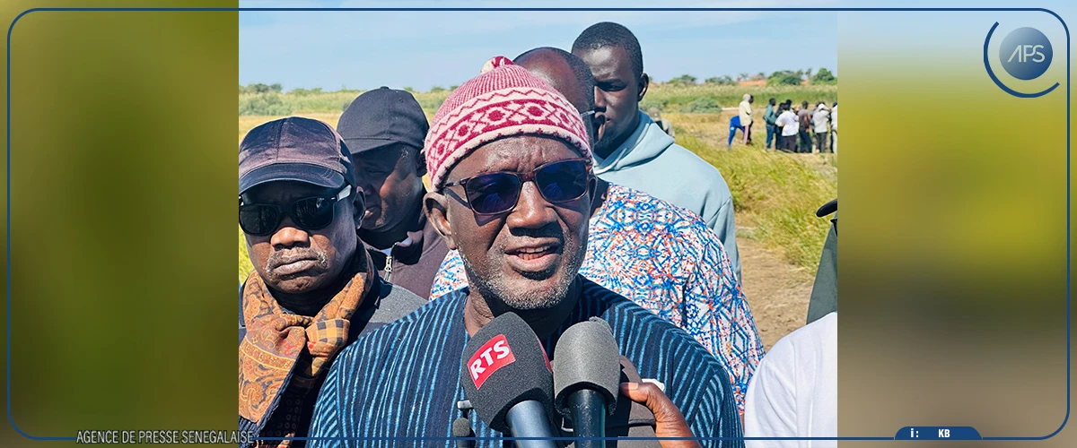 À Ndiol, une mission de l'ISRA en visite sur des parcelles expérimentales de riz