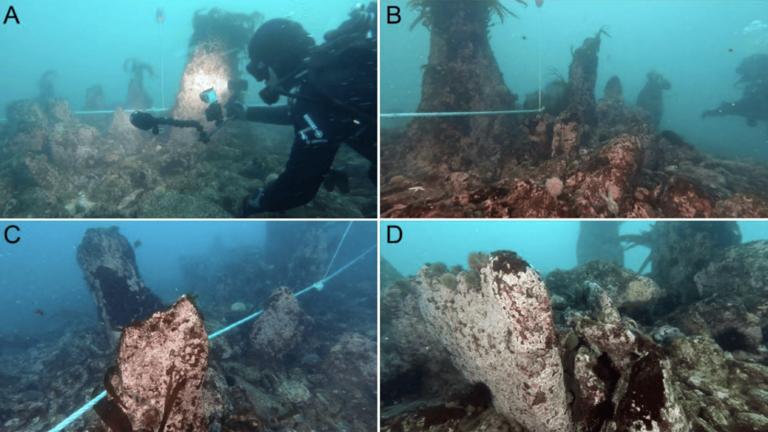 7,000-year-old walls discovered off French coast reveal sophisticated ...