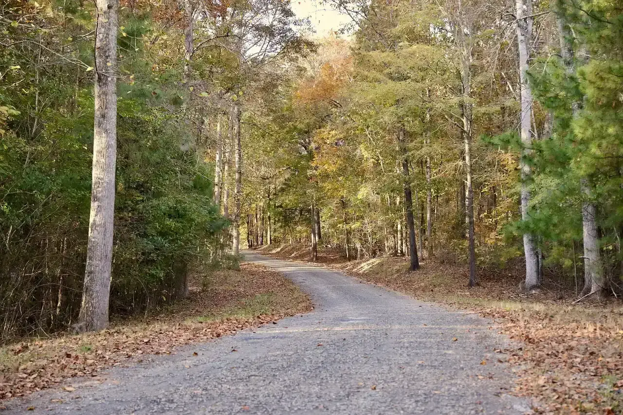 8 quiet towns to retire in if you suffer from enochlophobia (fear of ...