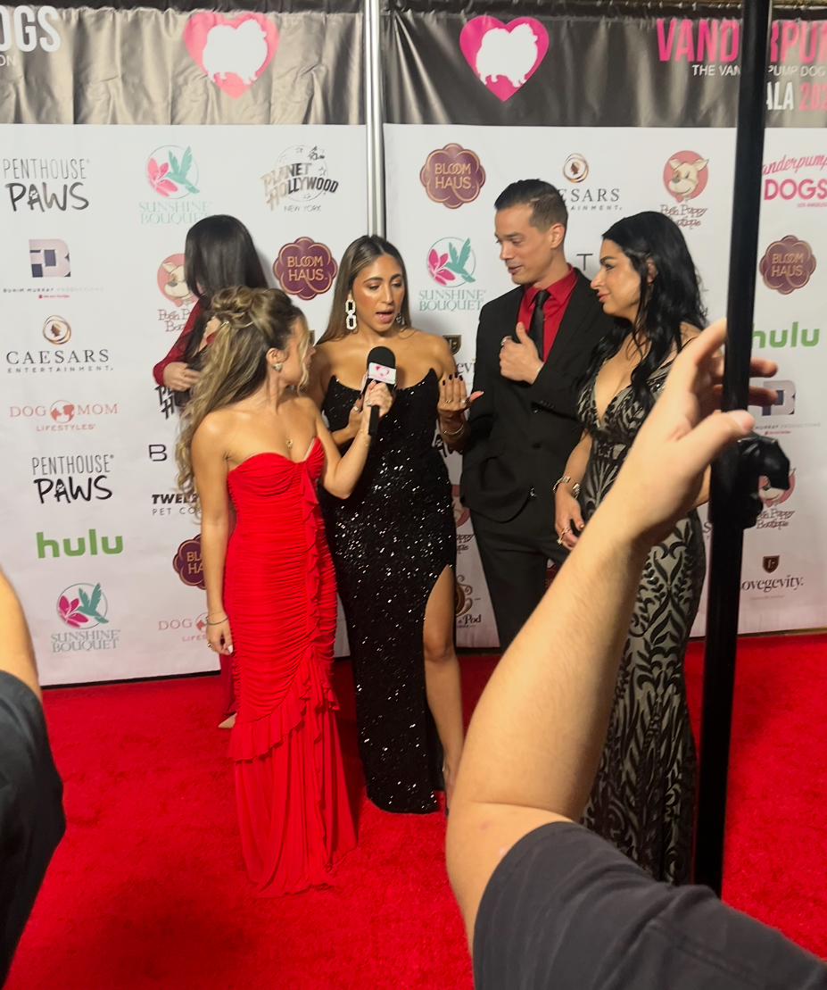 New ‘VPR’ cast teases season 12 — and the advice Lisa Vanderpump gave them