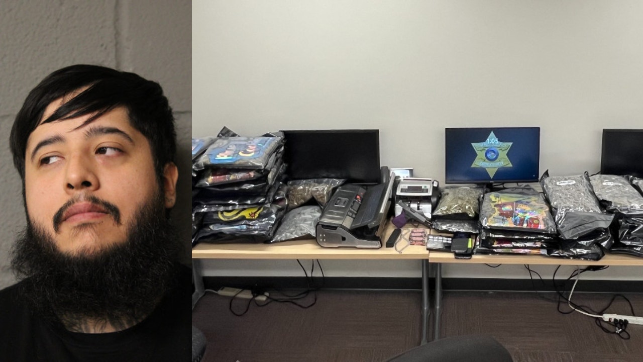 Cook County man charged with felonies after allegedly selling cocaine ...