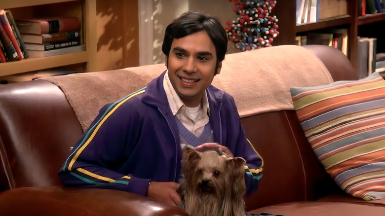 The real reason Raj didn't end up with anyone on The Big Bang Theory