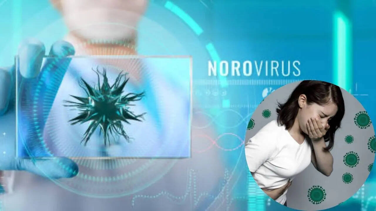 Norovirus spreading fast: Why hand sanitizer won’t protect you and what ...