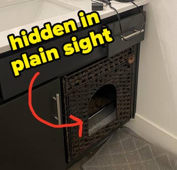 Bathroom vanity setup with litter box hidden inside