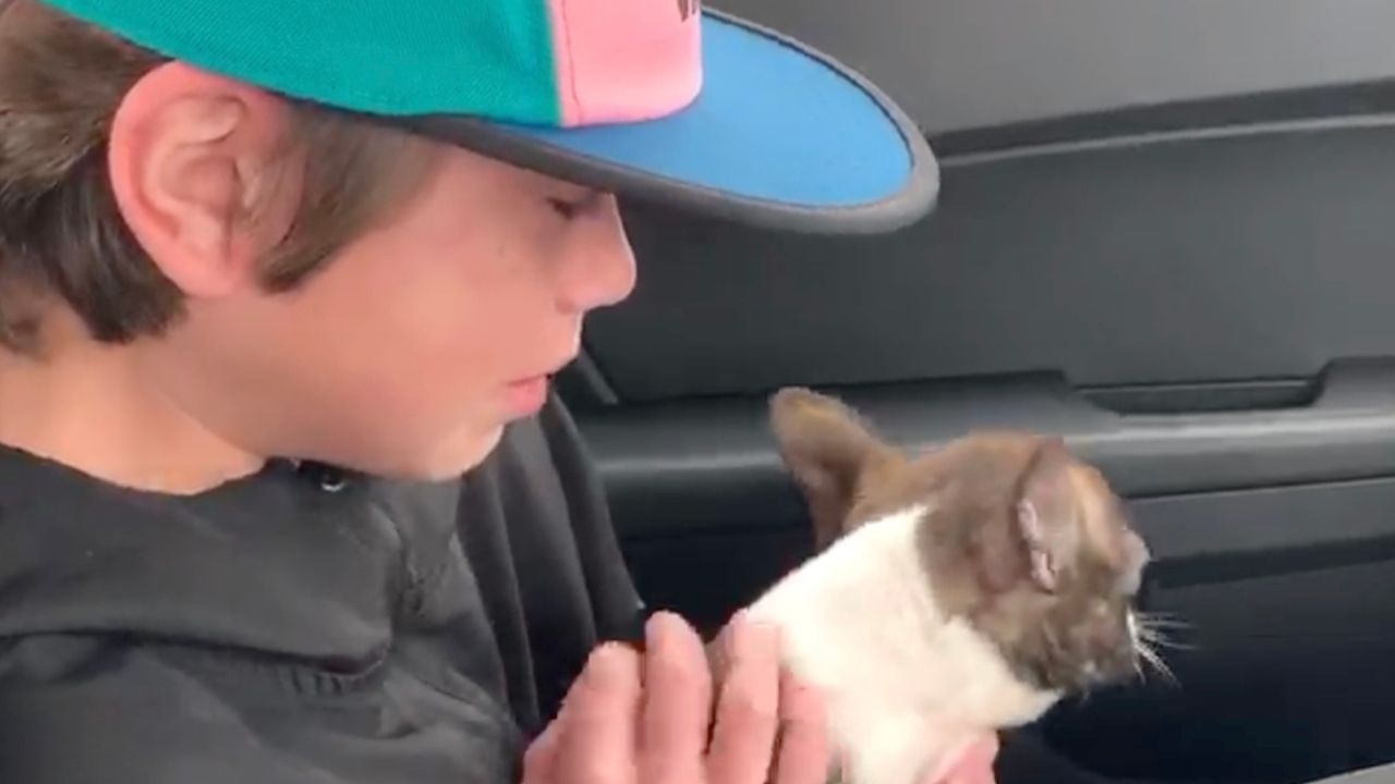 Boy surprised with puppy from father who arranged gift before he died