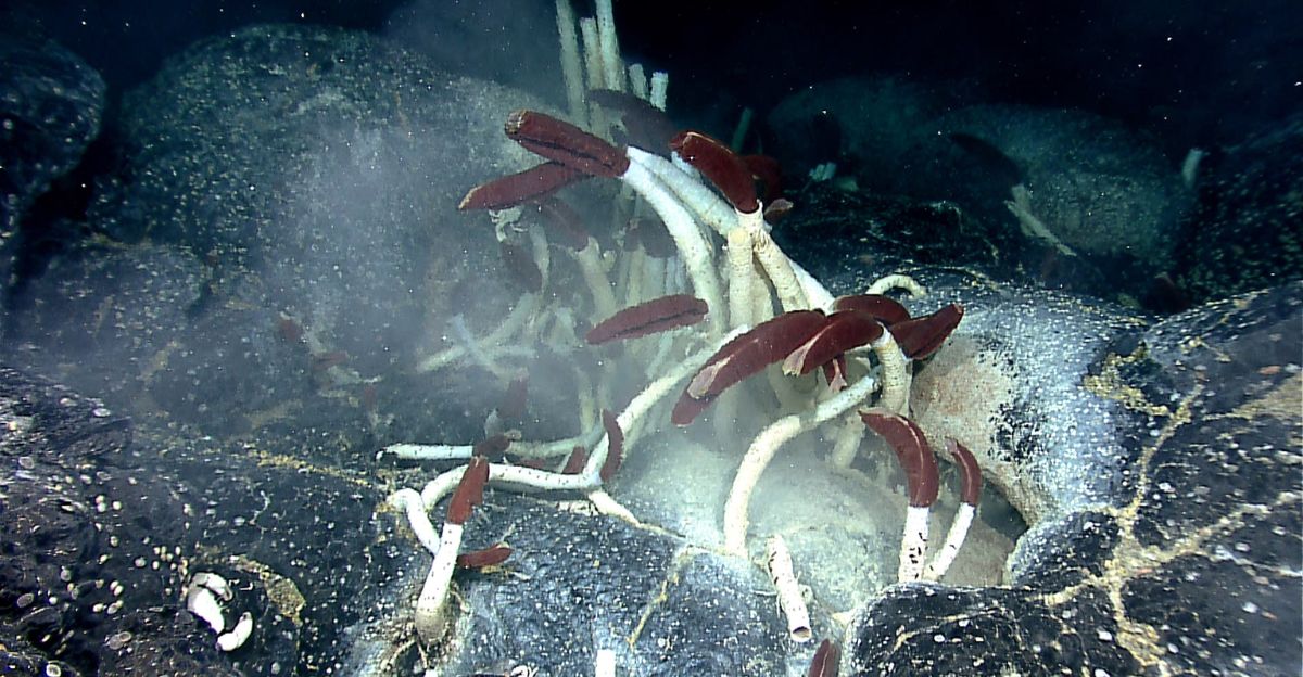 Tectonic Fuel Systems