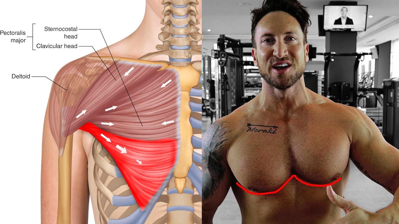 How to target your lower chest using the balloon method