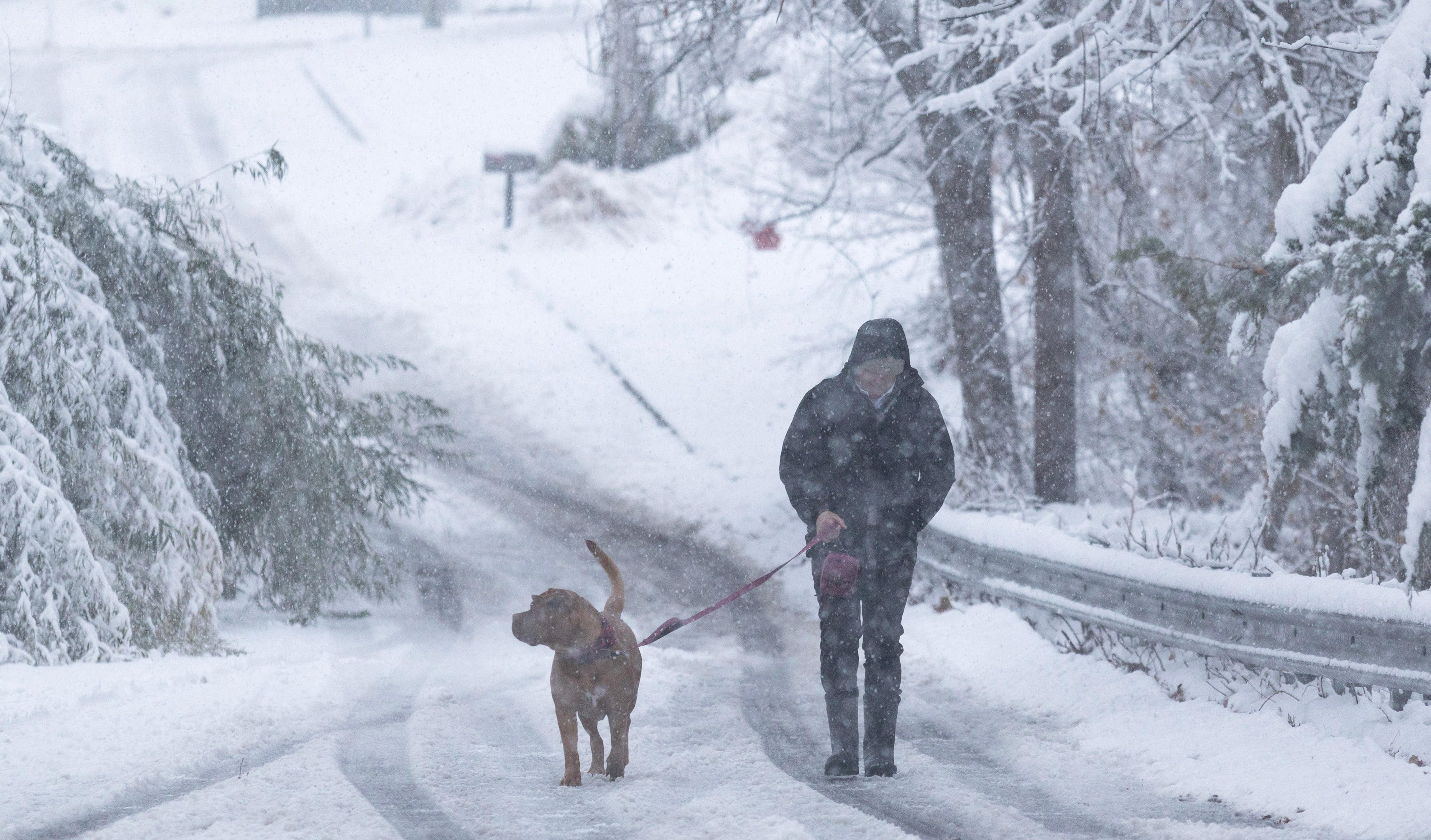 Monmouth, Ocean, Middlesex hit with winter storm, more to come<br>