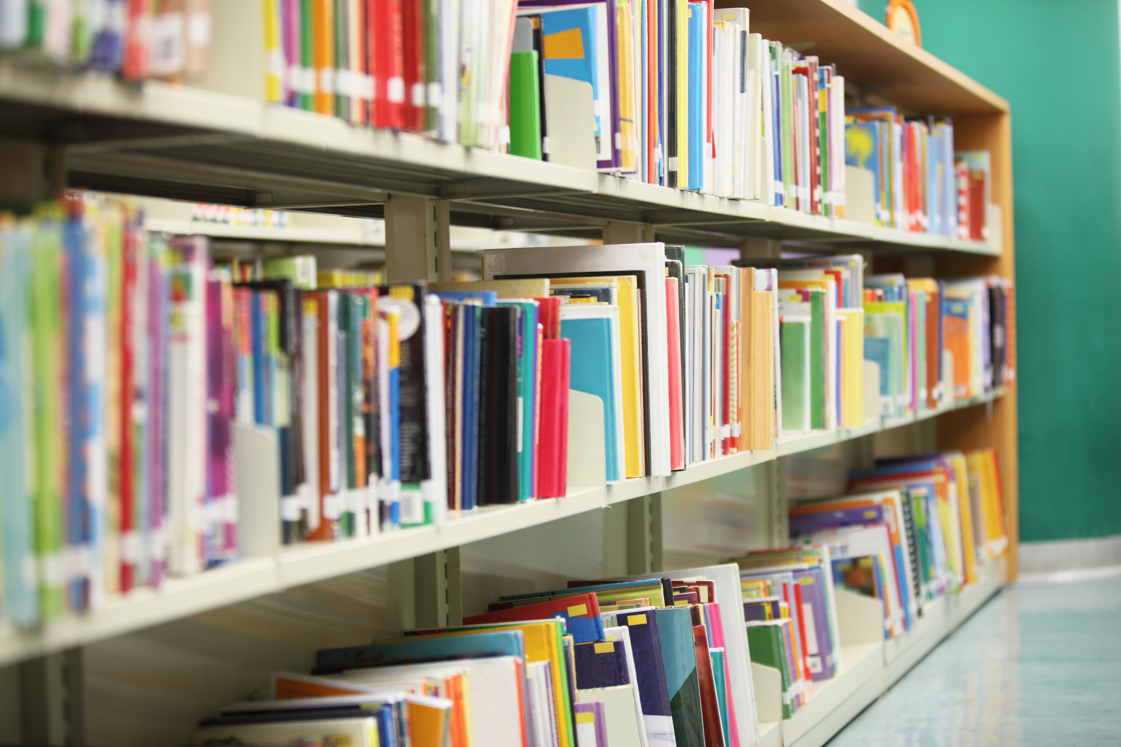 Library board ousted after voting to keep childrens book about trans boy