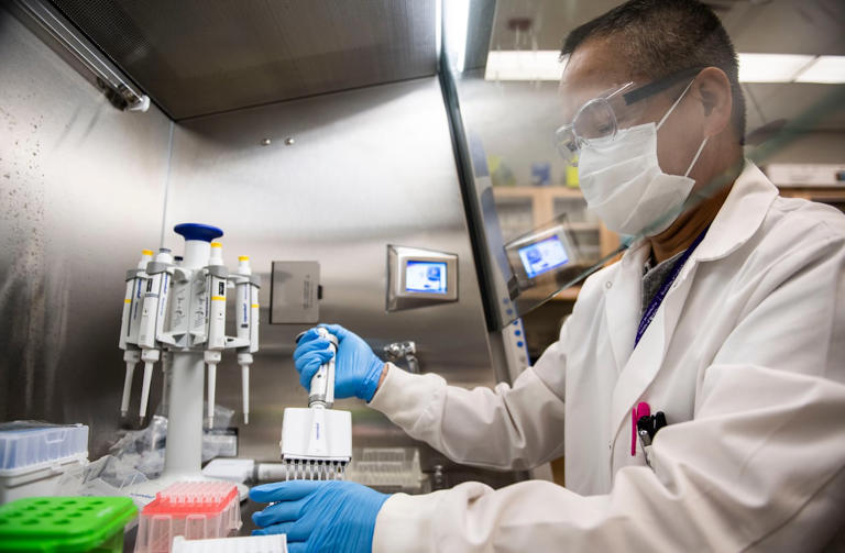 Medical labs in Ontario are understaffed, more in-lab educators needed ...