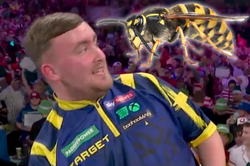 AA1Sjr4v.img?w=768&h=511&m=6&x=231&y=110&s=154&d=154