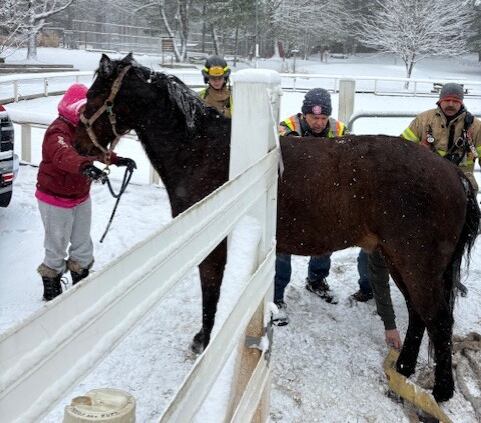 Firefighters help horse after slipping on ice at Ellington summer ...