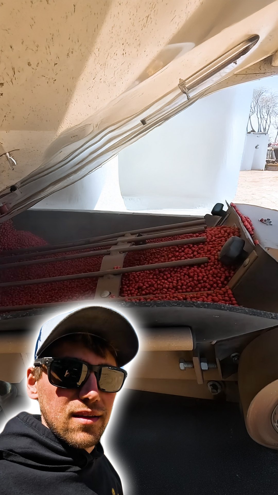 Time to plant beans