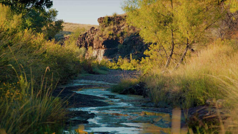Sprawling 29,000-acre ranch near Big Bend hits the market for $46.5M