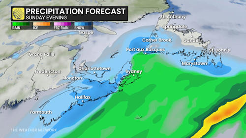 Up to 40 cm: Blizzard conditions as heavy snow, high winds hit East Coast
