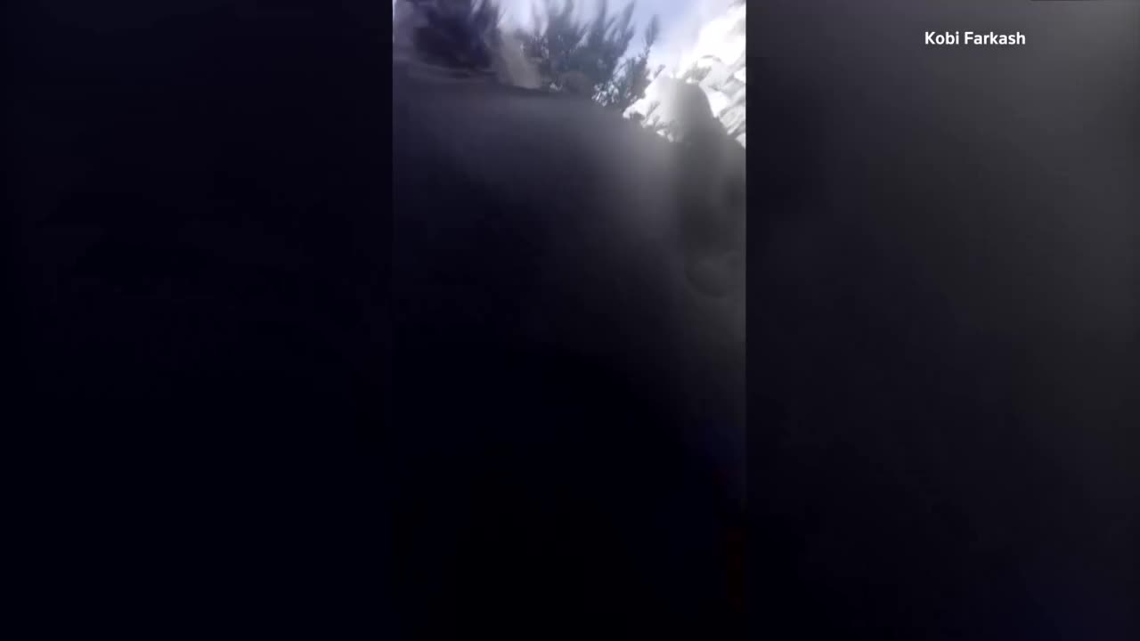 Eyewitness video shows celebrations, then terror, at Bondi Beach<br><br>