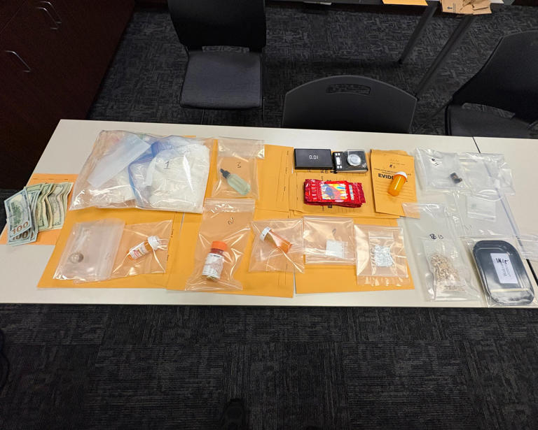 Police seize 3.5 pounds of illegal drugs in Steele Creek traffic stop