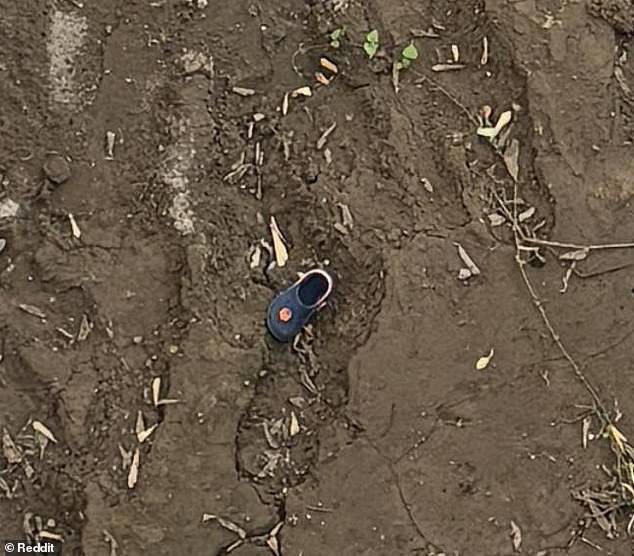 Infuriating photo hides two crocs - can you spot the second in under 30 ...