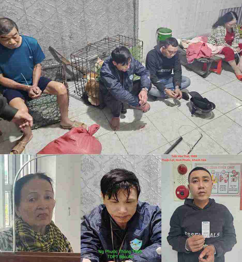Triệt phá đường dây trộm chó liên tỉnh, bắt giam 3 đối tượng ở Khánh Hòa