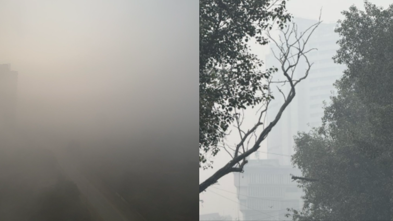 Feels like some doomsday movie: Delhi weather causes concern among ...