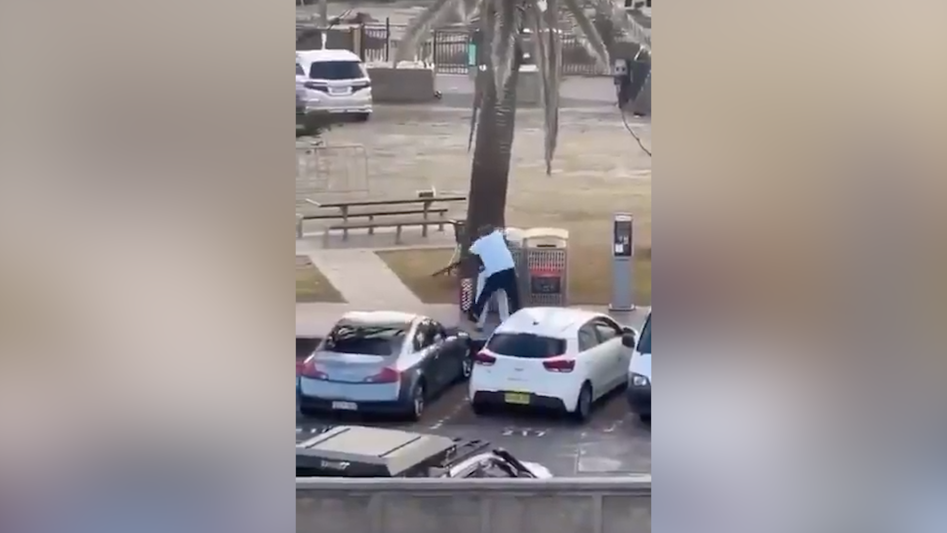 Video shows Bondi Beach hero who stopped gunman<br><br>