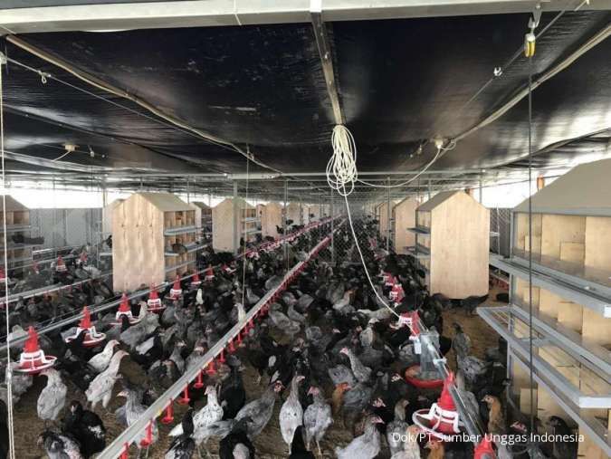 Momen Nataru Dorong Kinerja Emiten Unggas, Cek Rekomendasi Sahamnya
