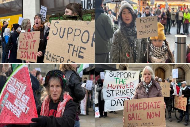 'They are going to die': Dozens protest in support of pro-Palestine ...