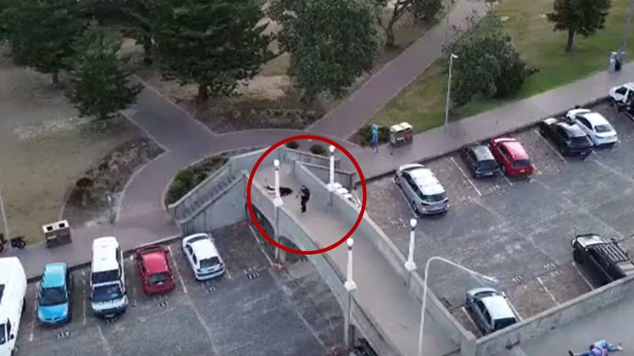 Bondi Beach gunman seen trembling, collapsing on bridge in new aerial footage<br><br>