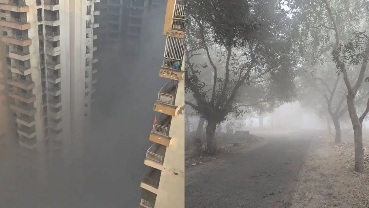 Smog explained: What it is, what causes it, and how to protect yourself