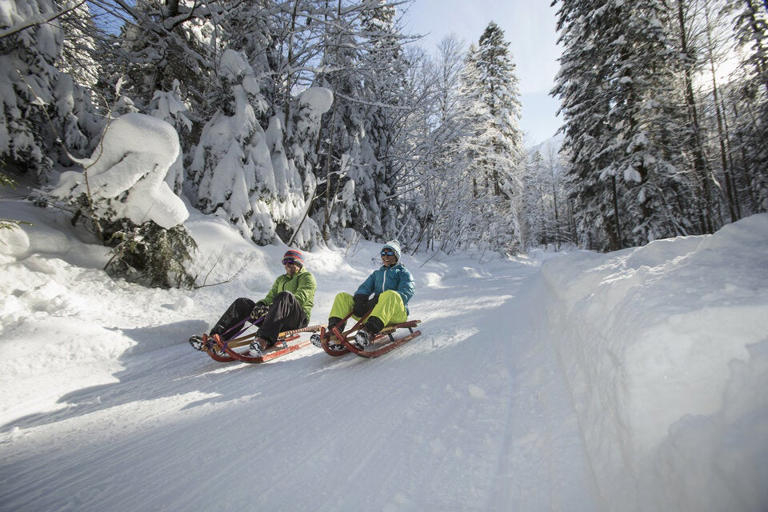 Rodeln in und rund um Wien: Die besten Rodel-Hotspots für den Winterspaß