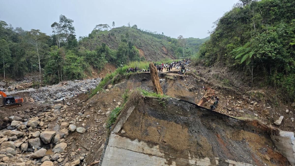 Mentan Laporkan Kerusakan 70 Ribu Hektare Sawah Akibat Banjir di Sumatra