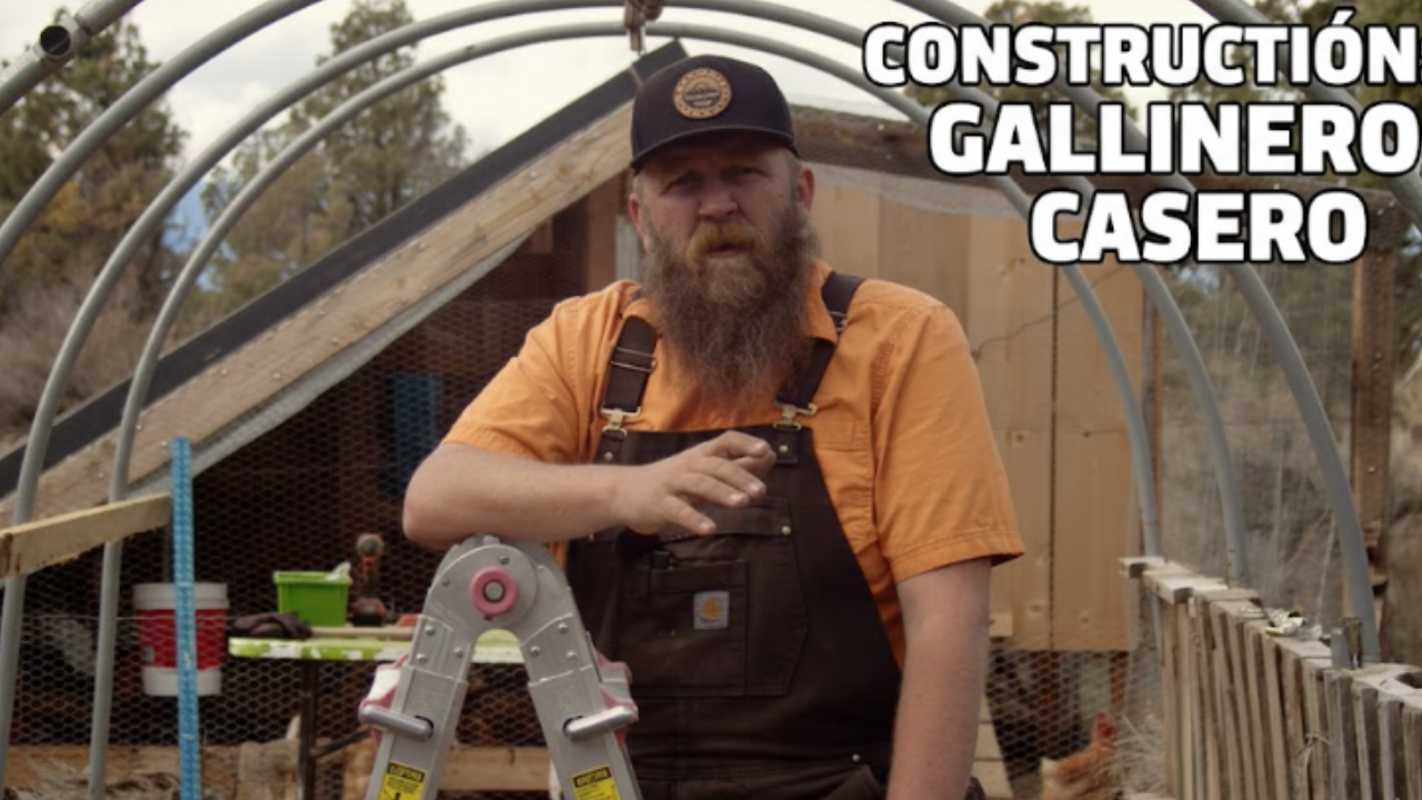Begin off-grid life now: Practical homesteading tips for beginners
