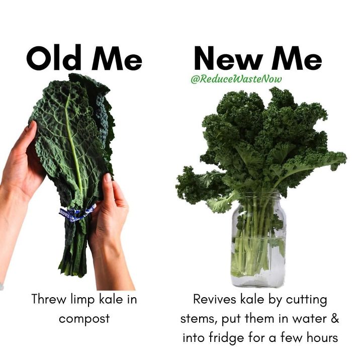 49 ‘Old Me vs. New Me’ Memes That Will Help You Reduce Waste