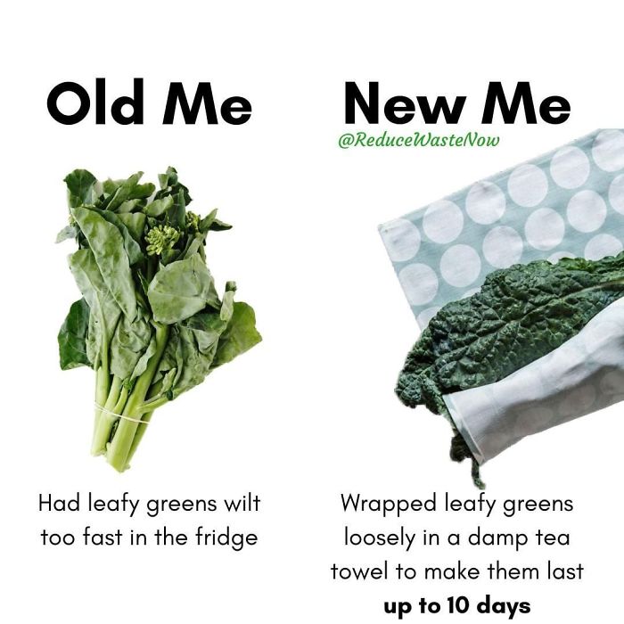 49 ‘Old Me vs. New Me’ Memes That Will Help You Reduce Waste